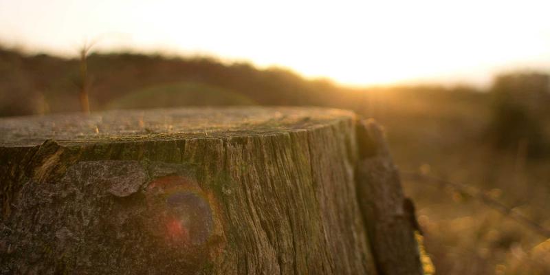 从筛查到微创治疗：成都金珠微医疗一站式管理乳腺结节的全流程解析