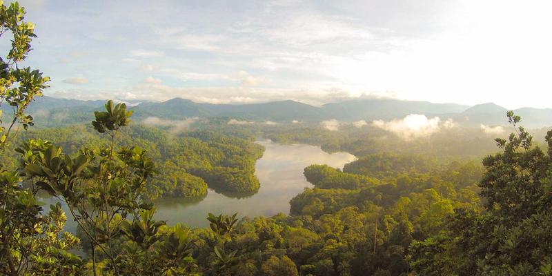 成都医疗新突破：甲状腺结节微创消融治疗如何实现无疤与功能保护