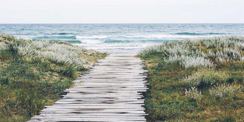 成都金珠微医疗21：微创手术与健康服务的创新融合