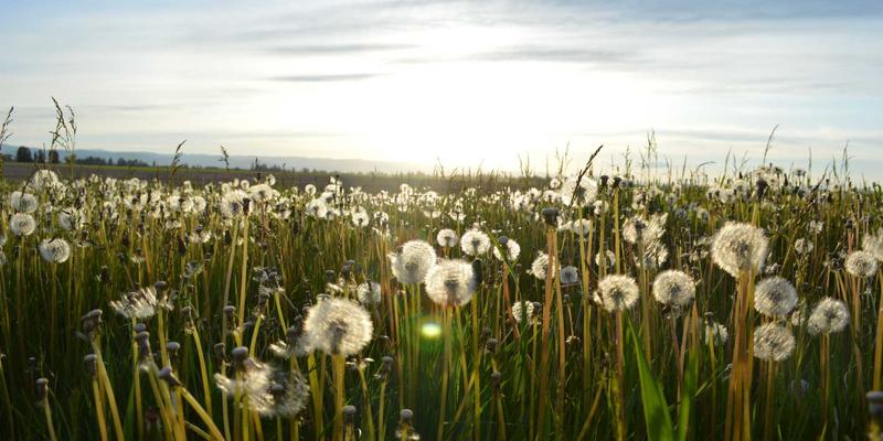 成都金珠微医疗41:引领微创医疗新纪元,重塑现代医疗服务体验