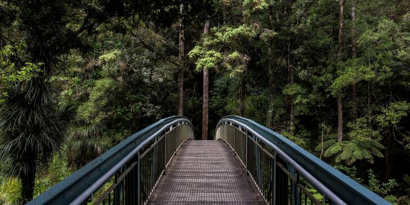 成都金珠微医疗45：引领智慧健康管理，重塑蓉城医疗服务新体验