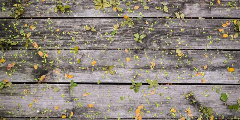 成都金珠微医疗68：引领蓉城健康管理新风尚，打造个性化医疗服务新标杆