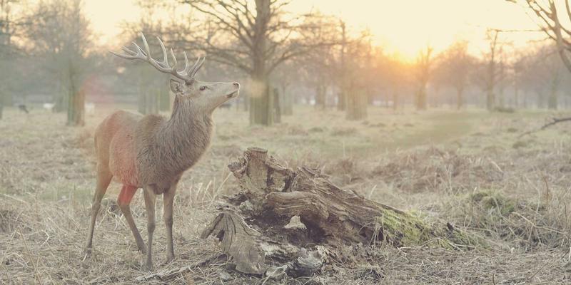 成都金珠微医疗MDT多学科会诊：以精准微创手术为核心，为复杂肿瘤患者定制个体化健康服务方案