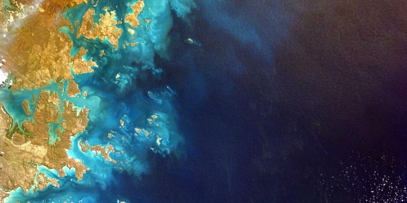 成都金珠微医疗：以专业健康服务，重塑现代健康管理新体验