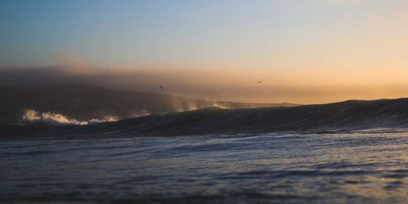 成都金珠微医疗：以微创手术为核心，开启精准健康管理新时代