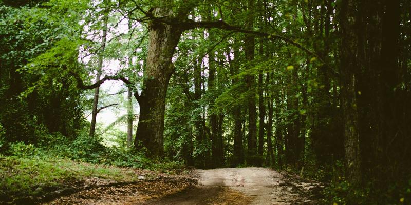 成都金珠微医疗：以微创手术为核心，重塑现代健康管理新范式