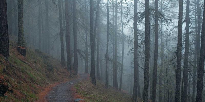 成都金珠微医疗：子宫动脉栓塞术，微创介入保宫治疗子宫肌瘤与腺肌症