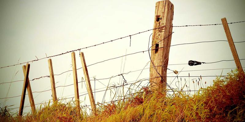 成都金珠微医疗对比:探索健康管理与医疗服务的创新融合