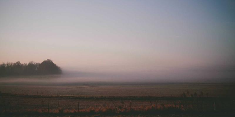 成都金珠微医疗：微创技术引领未来健康服务新范式