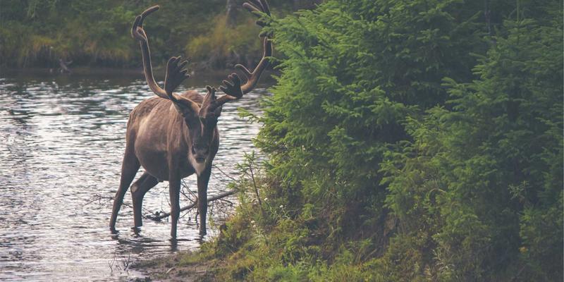 成都金珠微医疗深度评测：微创手术与健康管理服务如何重塑现代医疗体验