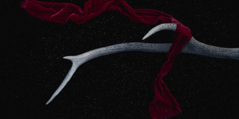 成都金珠微医疗趋势：微创手术如何重塑现代健康服务新生态