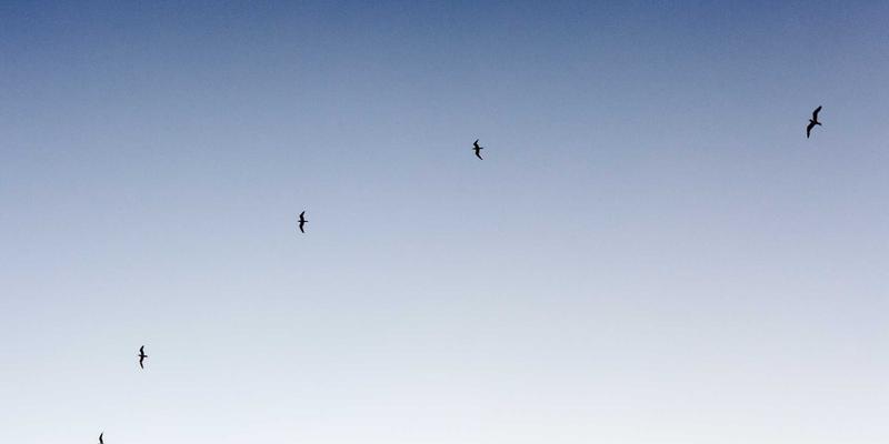 肿瘤患者如何获得精准营养支持？成都金珠微医疗多学科团队打造个体化健康管理方案